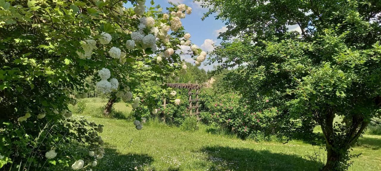 Dom Goscinny Lerka - 240 M2 Mazury Jeziora Lasy Lakorz Exteriör bild