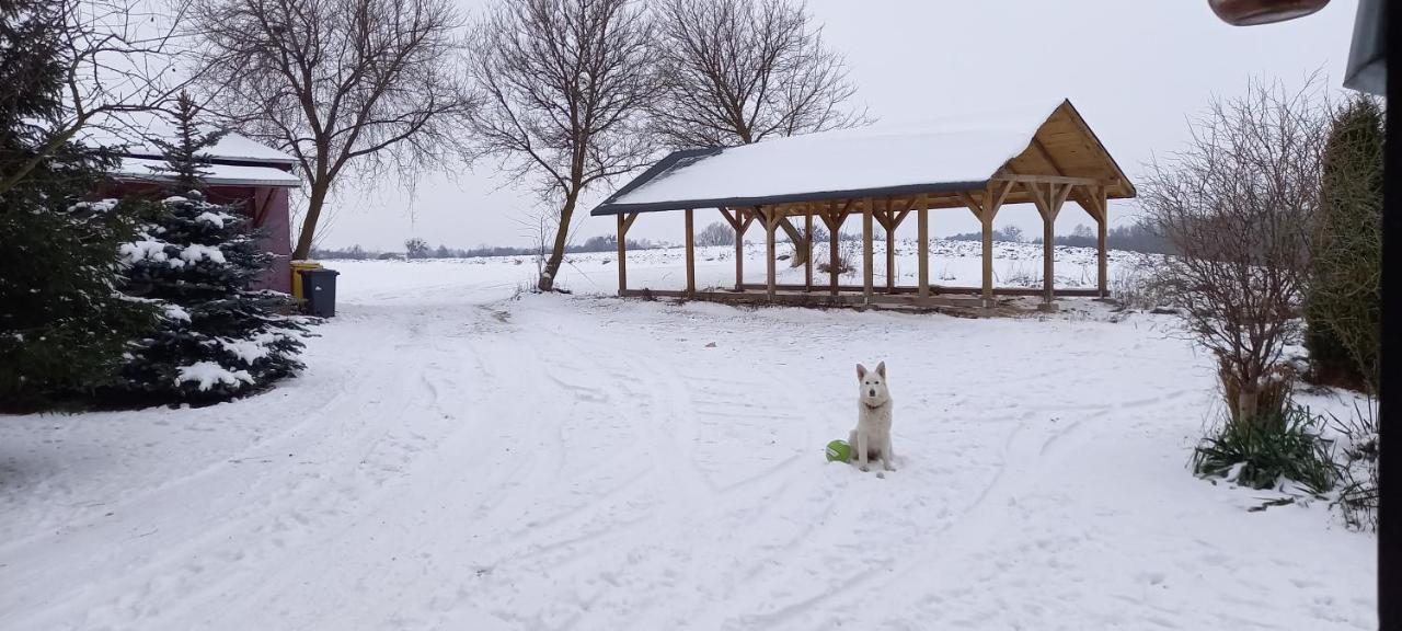 Dom Goscinny Lerka - 240 M2 Mazury Jeziora Lasy Lakorz Exteriör bild
