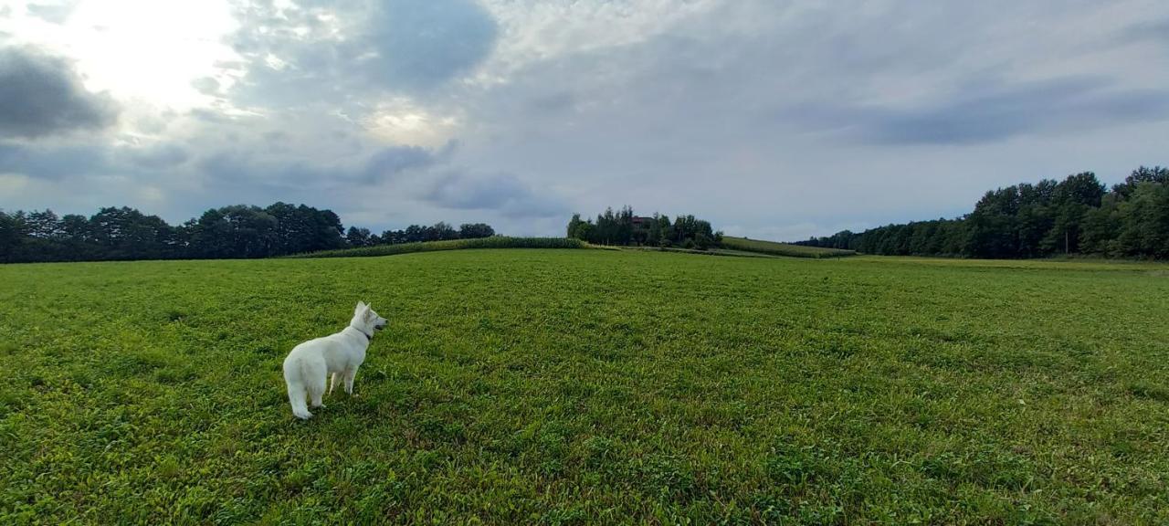 Dom Goscinny Lerka - 240 M2 Mazury Jeziora Lasy Lakorz Exteriör bild