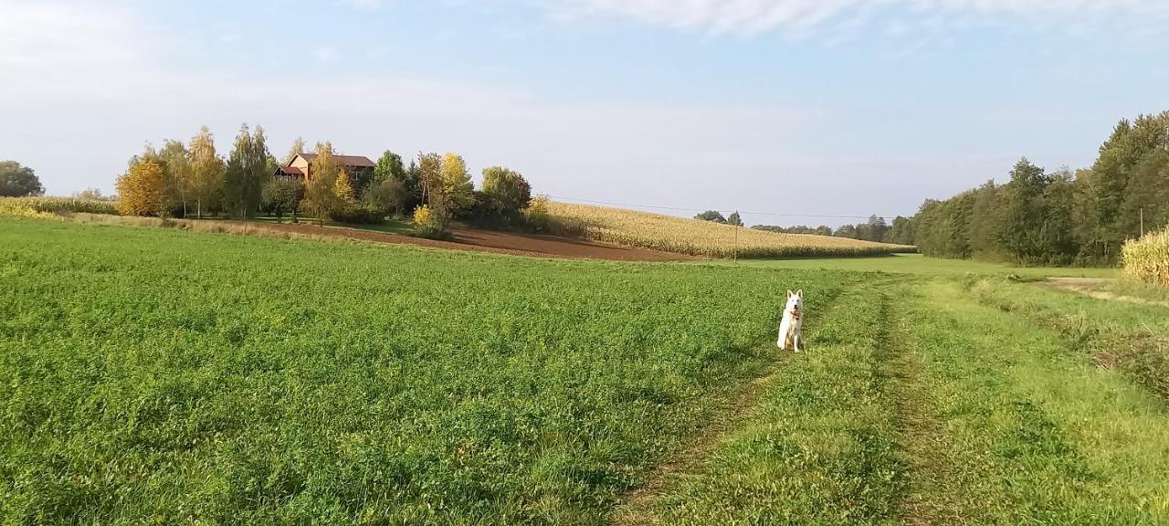 Dom Goscinny Lerka - 240 M2 Mazury Jeziora Lasy Lakorz Exteriör bild