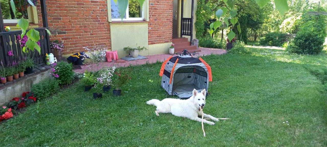 Dom Goscinny Lerka - 240 M2 Mazury Jeziora Lasy Lakorz Exteriör bild